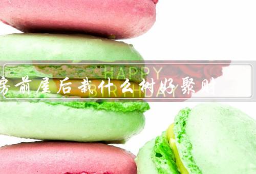 房前屋后栽什么树风水好聚财，樱花树／紫薇树／桂花树