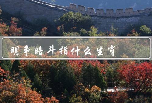 明争暗斗指什么生肖，与明争暗斗／中的明争暗斗／明争暗斗的意义