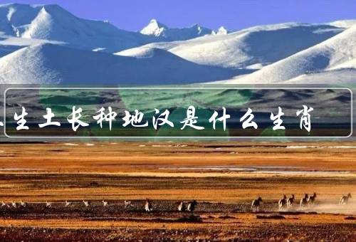 土生土长种地汉是什么生肖，土生土长种地汉／属猴的生肖／结语