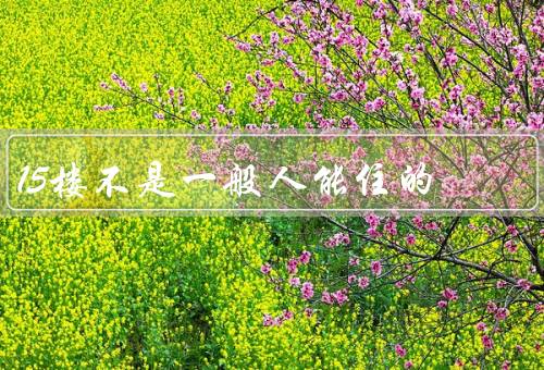 15楼不是一般人能住的（高度的挑战、通风和采光的问题）