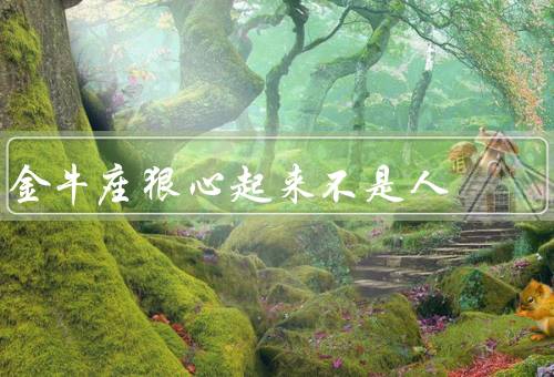 金牛座狠心起来不是人，执着、冷漠、坚决