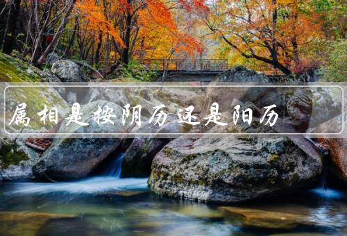 属相是按阴历还是阳历（区别）