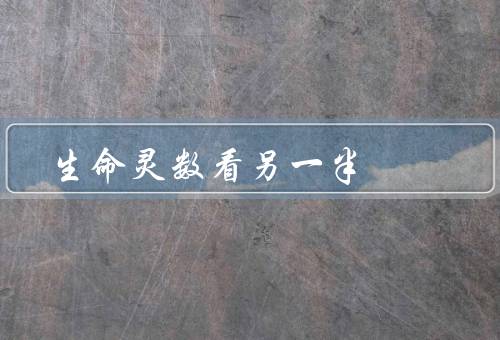 生命灵数看另一半，计算／与另一半匹配／启示