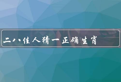 二八佳人猜一正确生肖（游戏规则、推理与判断、游戏的乐趣）