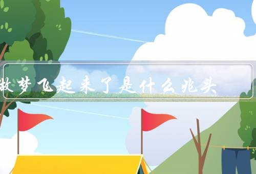 做梦飞起来了是什么兆头（飞翔的自由、梦幻的想象、内心的追求）