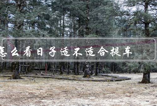 怎么看日子适不适合提车（选择晴天／高温和寒冷天气）