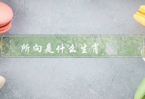 所向无敌是什么生肖，特点／事业发展／人际关系