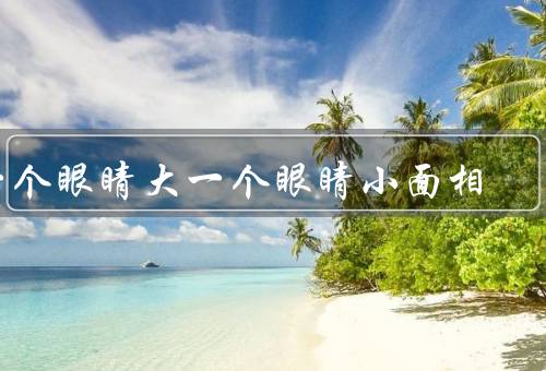 一个眼睛大一个眼睛小面相，不拘小节、思维灵活、机智聪明