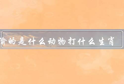 偷偷的是什么动物打什么生肖，猪年被偷偷打的是什么动物？