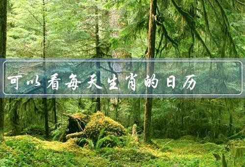 可以看每天生肖的日历（日历的特点／文化的魅力／每天带来的启示）