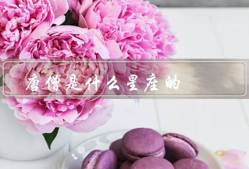 唐僧是什么星座的，性格特点／星座推测／结论
