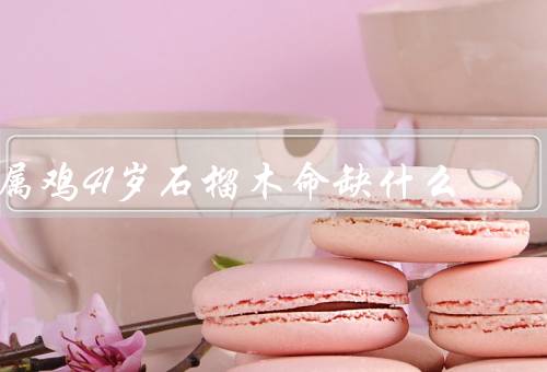 属鸡41岁石榴木命缺什么