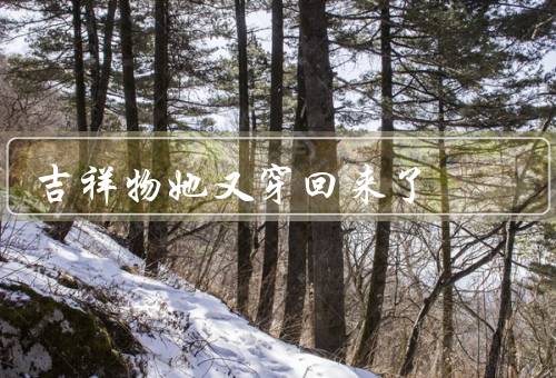 吉祥物她又穿回来了，重要性／变化／意义
