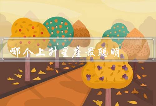 哪个上升星座最聪明（领导才能、创造力、总结）