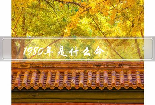 1980年是什么命，性格特点／事业发展／感情生活