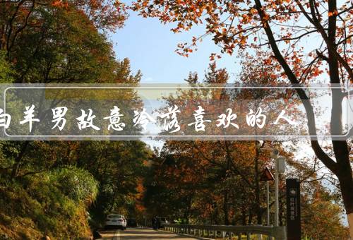 白羊男故意冷落喜欢的人（野性的冲动、自卑的表现、保护自己的心）