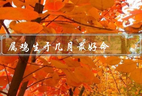 属鸡生于几月最好命，五月生人／八月生人／结语