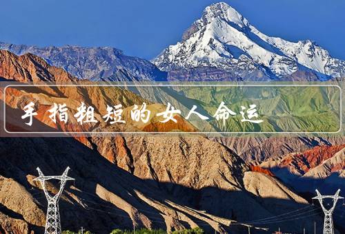 手指粗短的女人命运（自信与勇气／努力与奋斗／坚持与信念）
