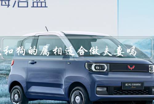 蛇和狗的属相适合做夫妻吗（性格特点、相处方式、相互补充）