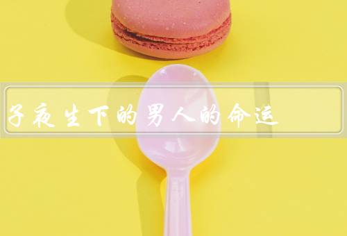 子夜生下的男人的命运，奋斗与挫折／爱情的离合／成长与成就