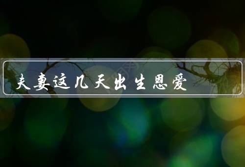 夫妻这几天出生恩爱（早餐时的温馨一刻／傍晚时的甜蜜约会）