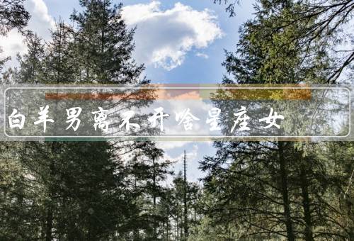 白羊男离不开啥星座女，狮子座女生／水瓶座女生／射手座女生