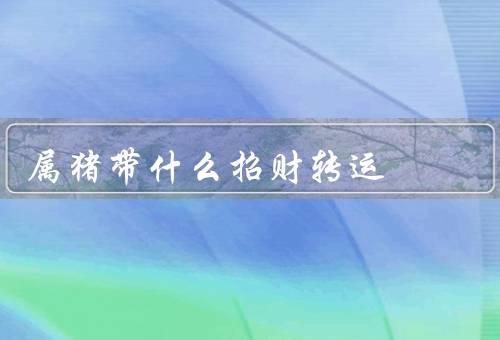 属猪带什么招财转运（正确的投资观念／稳定的职业发展）