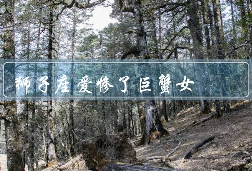 狮子座爱惨了巨蟹女，狮子座的热情／巨蟹女的细腻／两个星座的默契