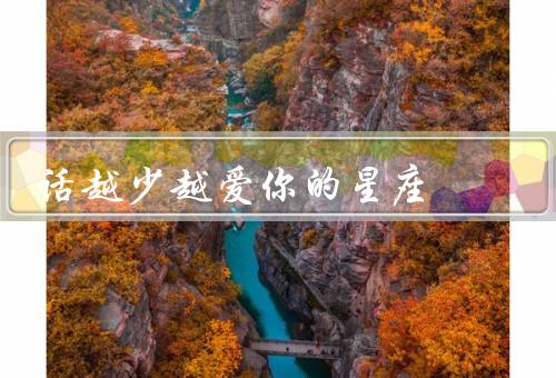 话越少越爱你的星座，巨蟹座／摩羯座／双鱼座