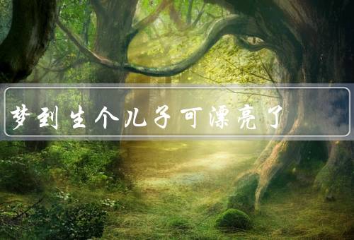 梦到生个儿子可漂亮了，容貌、气质、才华