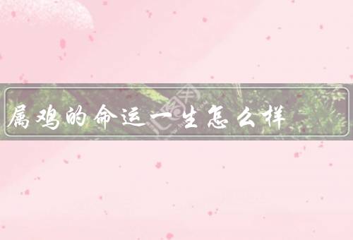 属鸡的命运一生怎么样（事业／爱情／健康）