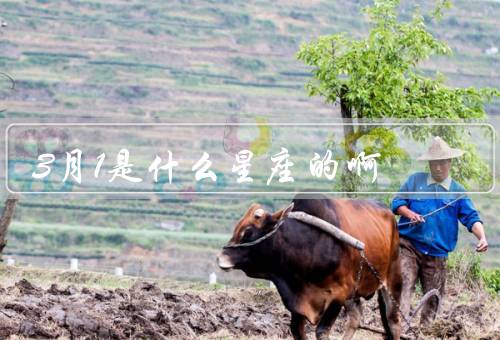 3月1是什么星座的啊，双鱼座特点／性格特点／职业选择