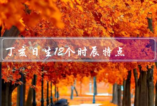丁亥日生12个时辰特点（子时／丑时／寅时）