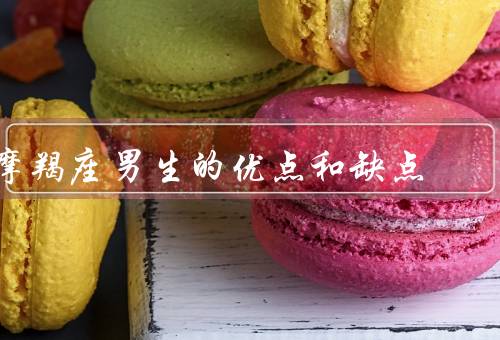 摩羯座男生的优点和缺点，坚定的目标和决心、优秀的工作能力
