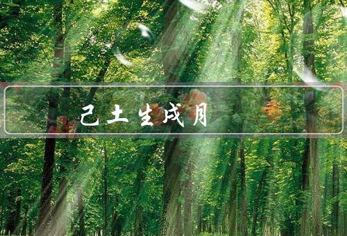 己土生戌月 大富，巨大的财富增长／稳定的财运／成功机会的增加