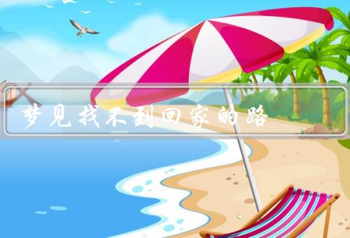 梦见找不到回家的路，失去方向的无助／寻找支持和指引
