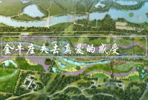金牛座失去真爱的感受（坚守原则／对未来的迷茫／时间的疗愈）