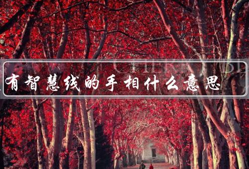 没有智慧线的手相什么意思，没有智慧线的手相／艺术天赋／其他特质