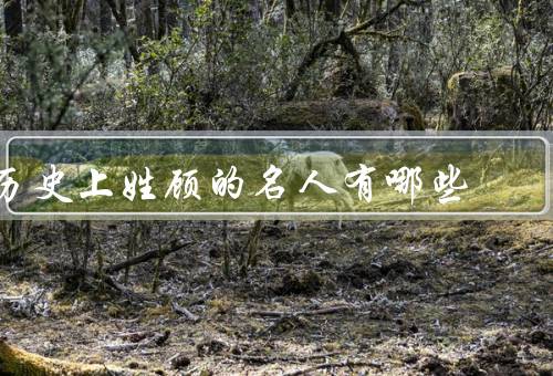 历史上姓顾的名人有哪些（顾炎武／顾颉刚／顾城）