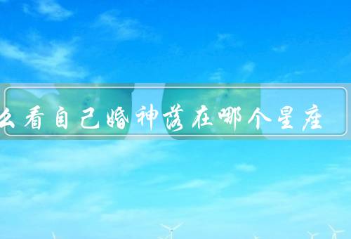 怎么看自己婚神落在哪个星座，自我观察、星座配对、咨询专家
