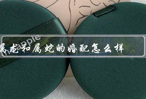 属龙和属蛇的婚配怎么样，龙蛇相宜／互补成就／相互促进