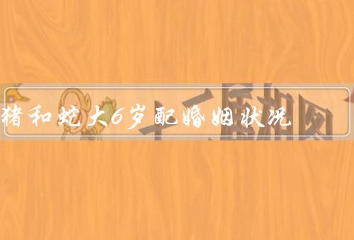 猪和蛇大6岁配婚姻状况（爱情的起源／年龄差带来的挑战）