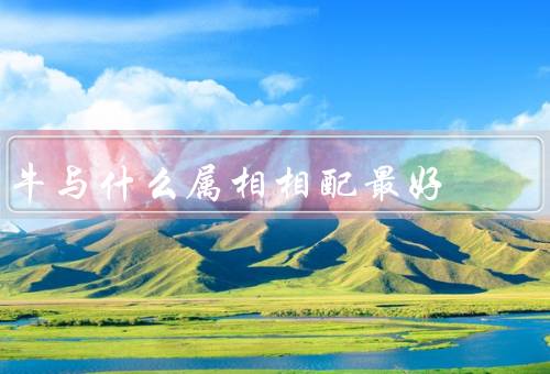 牛与什么属相相配最好，属鸡、属蛇、属鼠