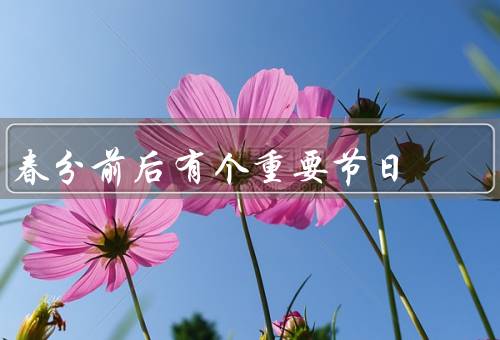 春分前后有个重要节日（清明节、春游、植树节）