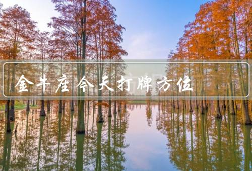 金牛座今天打牌最佳方位，稳定的环境／有靠背的椅子