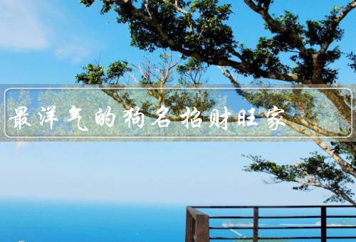 最洋气的狗名招财旺家，招财旺家、福星高照、财神附体