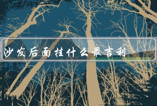 沙发后面挂什么最吉利，画有山水的字画／镜子／植物