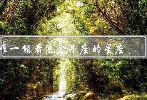 唯一能看透金牛座的星座，水瓶座／共同语言／和谐共处