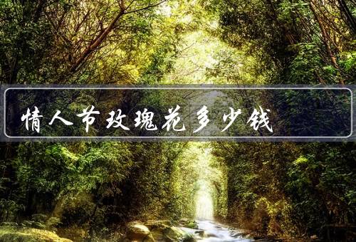情人节玫瑰花多少钱（一般范围／影响因素／购买建议）