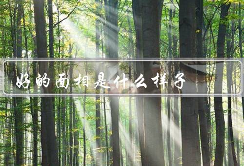 好的面相是什么样子，五官立体鲜明／面容线条柔和／表情自然真诚